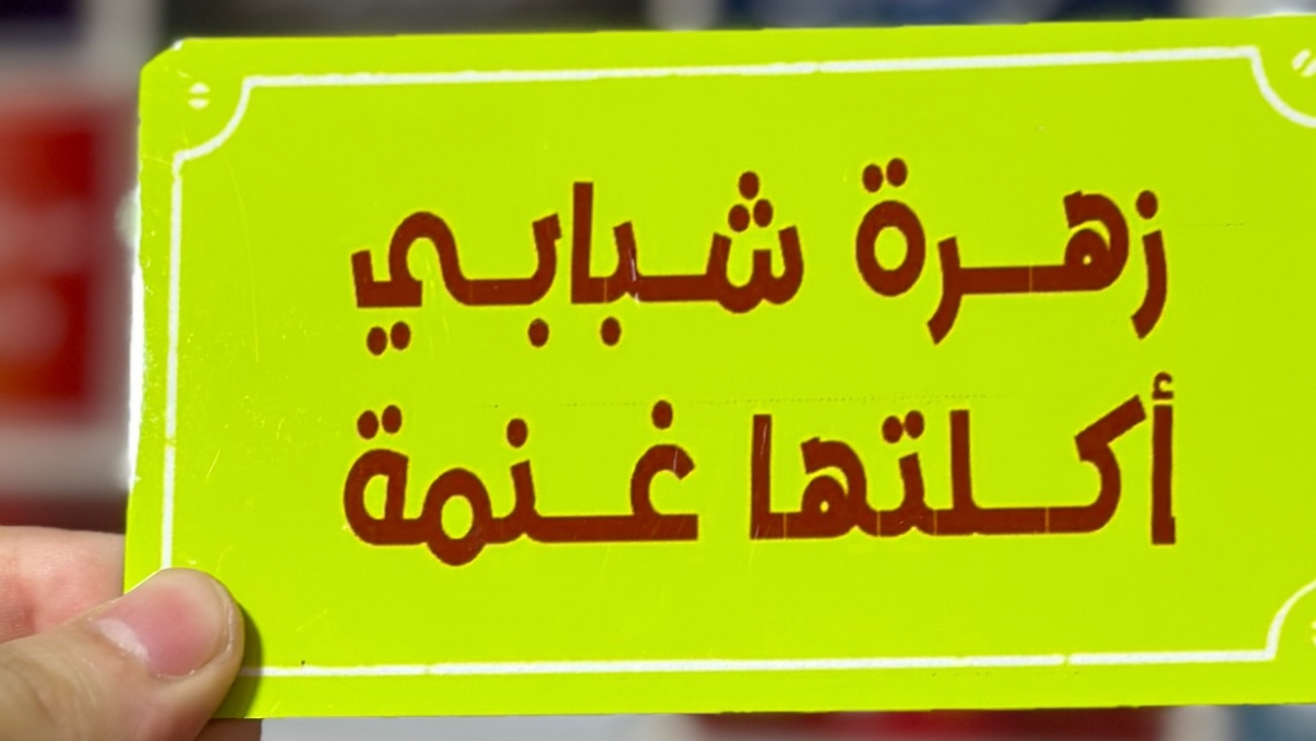 زهرة شبابي اكلتها غنمة
