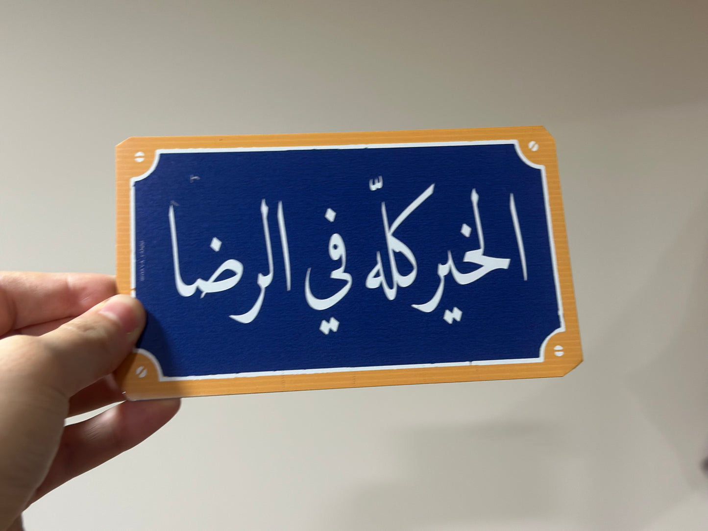 الخير كله في الرضا