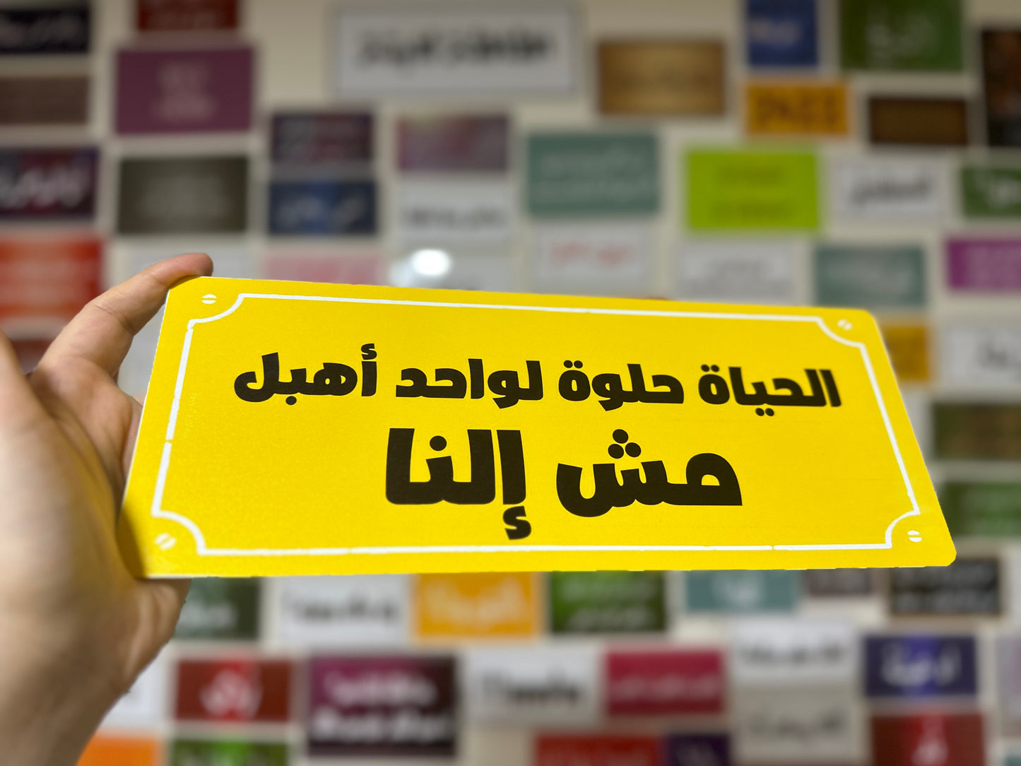 الحياة حلوة لواحد اهبل مش النا