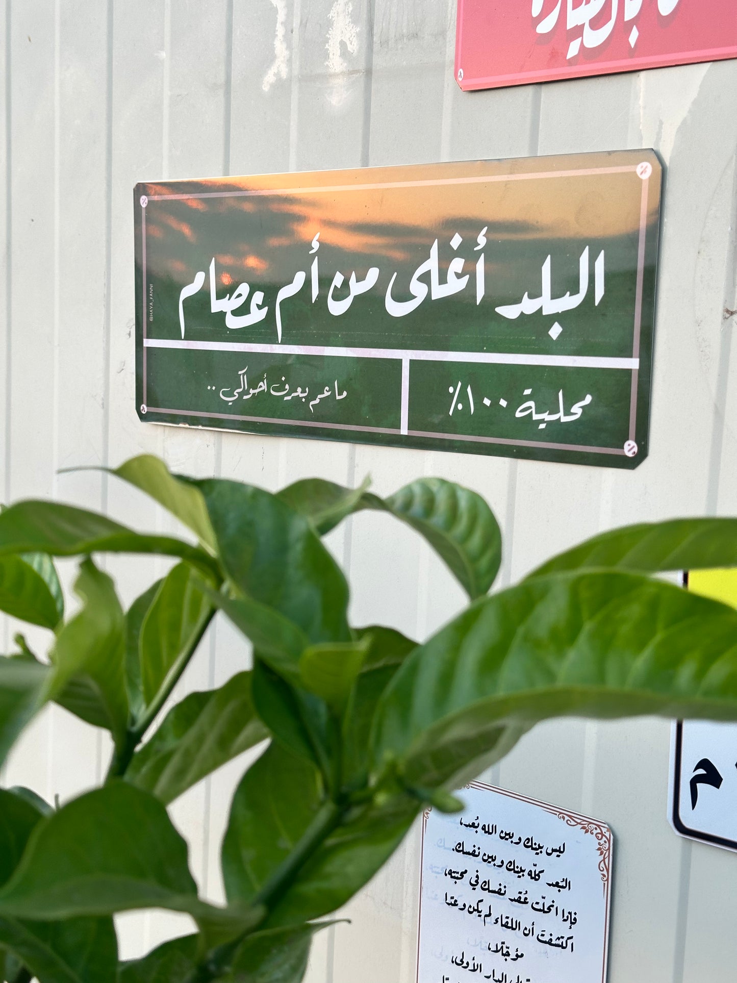 البلد اغلى من ام عصام